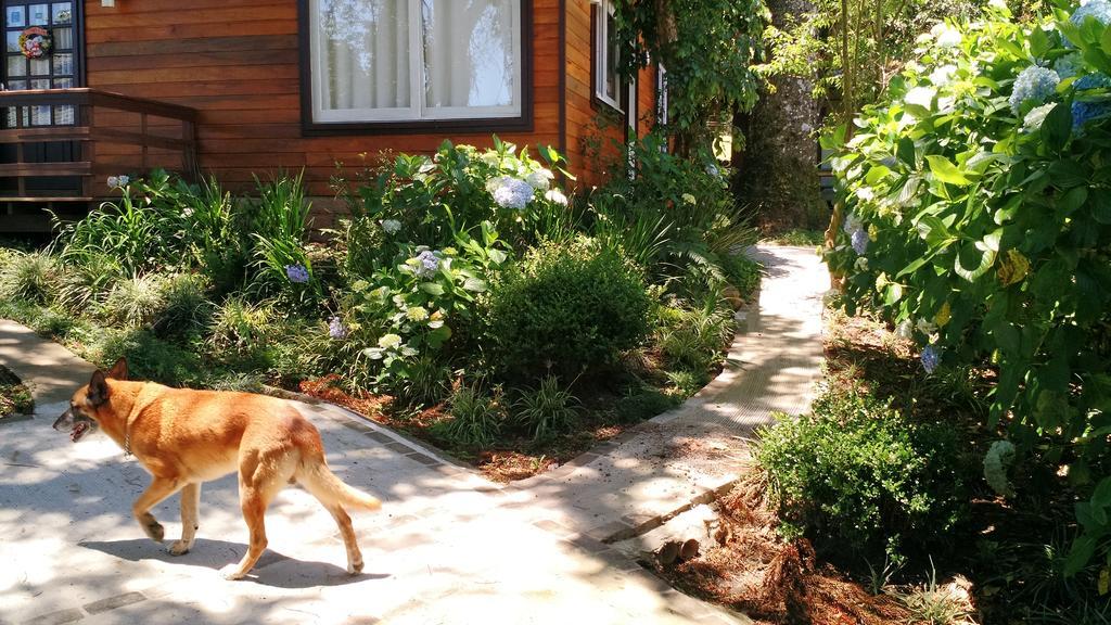 Sobrado Estilo Alemao Villa Canela Exterior photo